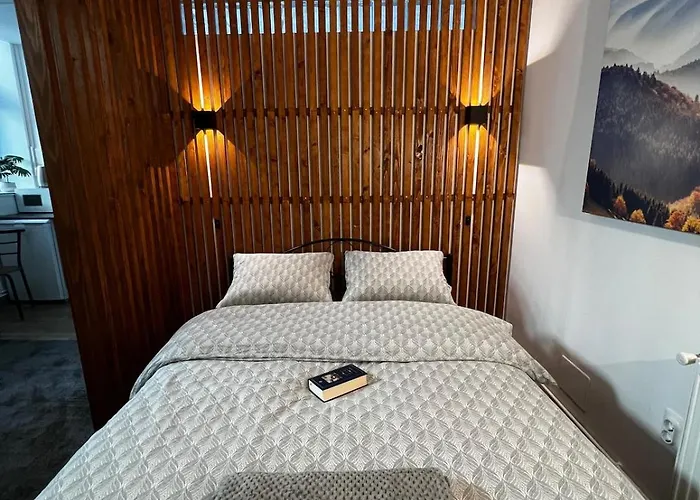 Ultracentral Urban Nook Apartmán Kluž